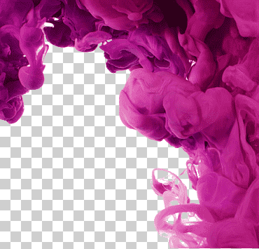 flor rosa, persianas pintadas, ahumadas, pintura de acuarela, púrpura, tinta png