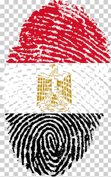 Bandera de Egipto, Irlanda Bandera de Egipto, Bandera nacional de Egipto, bandera, texto, Egipto png