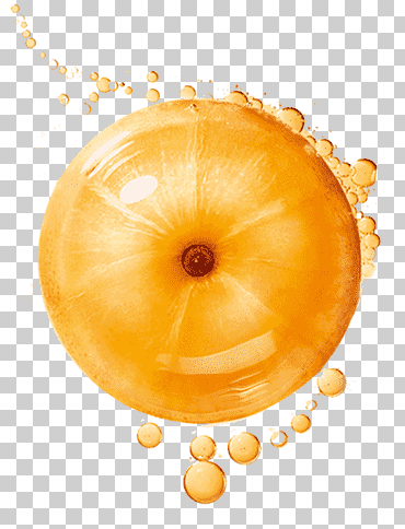 fruta del pelo garnier aceite de caspa, amla, comida, naranja, gente png