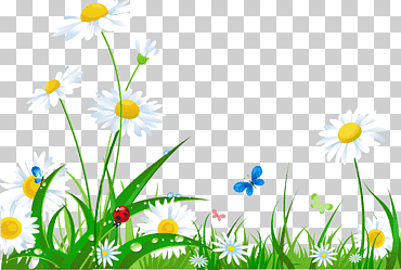 portátil de escritorio flor de televisión de alta definición, verano, electrónica, fondo de pantalla de la computadora, hierba png