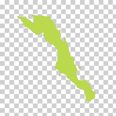 estado de baja california sur estado de baja california norte, cádiza, hierba, mapa, estado png
