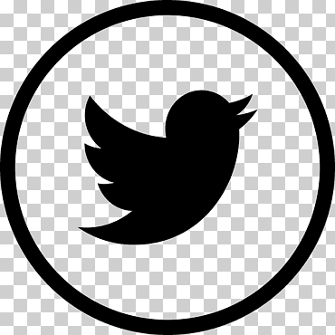 icono de twitter, logo de iconos de computadora, twitter, diverso, hoja, rama png