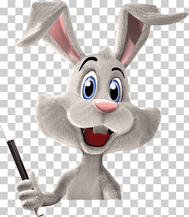 conejo doméstico pascua conejito liebre magia, conejo magia, mamífero, niño, liebre png