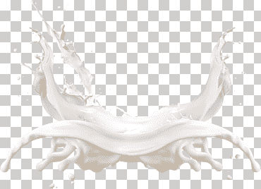 Ilustración de salpicaduras de leche, salpicaduras de crema de leche, elemento simple efecto de leche blanca, infografía, cuerno, crema png