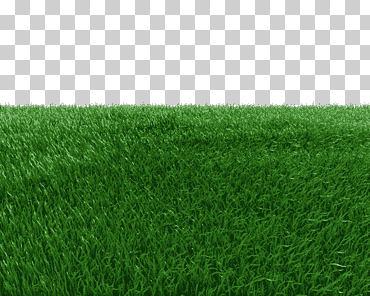 de pasto verde, césped artificial pastos de pradera verde, fondo de campo, hierba, césped, naturaleza png