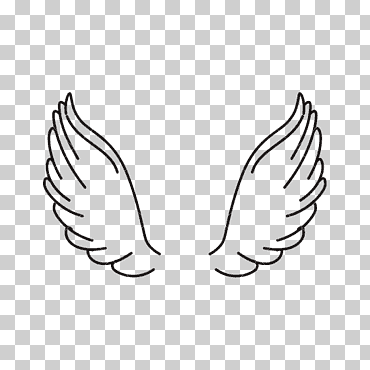 Ilustración de alas negras, iconos de computadora, alas de ángel, diverso, ángulo, blanco png