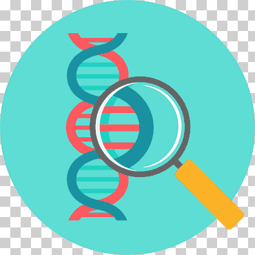 iconos de computadora biología, biología, diverso, logo, química png