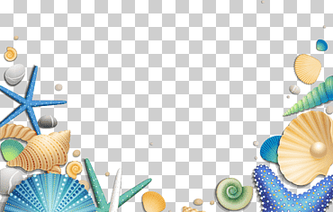 Conchas de mar azul, amarillo y verde, estrellas de mar euclidianas, conchas de mar decorativas, azul, fondo de pantalla de la computadora, Decoración navideña png