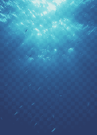 submarino biología marina océano marino mamífero, mar, azul, mamífero, biología png