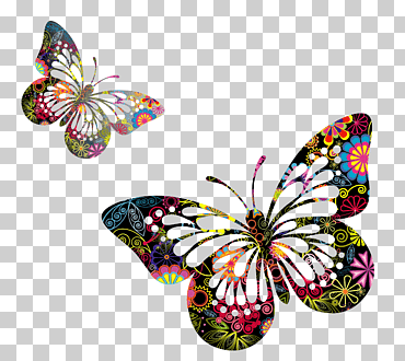 Dos mariposas florales multicolores, mariposas dibujo pintura, mariposas, mariposa patas de pincel, simetría, color png