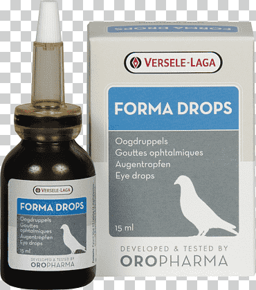 suplemento dietético ave versele laga oro carnitina vitamina, gotero de 1 mililitro, comida, pájaro, suplemento dietético png