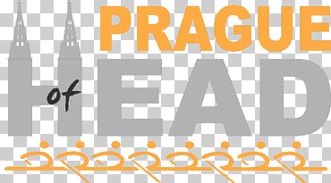 partido revolucionario institucional san luis potosí nayarit presidente de méxico confederación nacional de organizaciones populares, praga, ángulo, texto, logo png