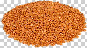 Proso Mijo Cereales Forrajes Echinochloa Esculenta, Lentejas, diverso, grano integral, superalimento png