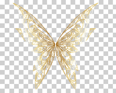 Mariposa insecto ala polilla animal, enlace dorado, pollo, insectos, polilla png
