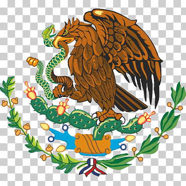 escudo de armas de méxico bandera de méxico símbolo nacional imperio azteca, símbolo, diverso, bandera, fauna png