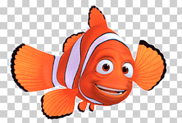 marlin encontrando pez payaso nemo, estrella de mar, diverso, comida, animales png