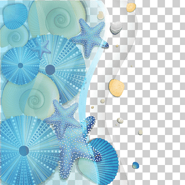 Ilustración de conchas y estrellas de mar azules y blancas, mar de dibujos animados, conchas marinas, azul, animales, fondo de pantalla de la computadora png