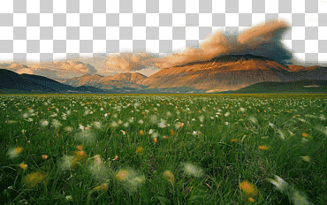 hermosa pradera, otro, nube, paisaje png