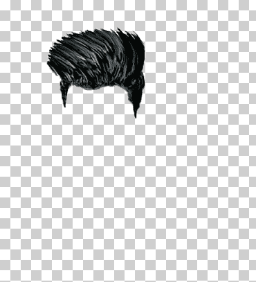 pelo negro, edición de cabello estudio picsart, pelo, gente, negro, Fondo de escritorio png