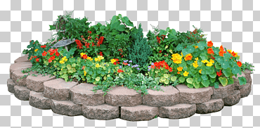 diseño del paisaje de flores, parterre, hierba, jardín de flores, tulipán png