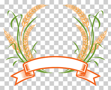 Planta de hoja verde y naranja con plantilla de cinta, logo de trigo cereal, logo de trigo, frontera, plantilla de diseño de logo gratis, hoja png