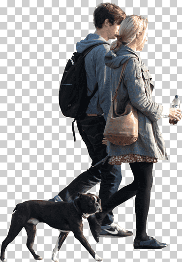 perro raza perro caminando obediencia entrenamiento, perro, amor, animales, perro como mamífero png