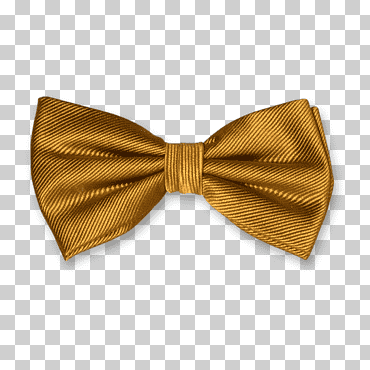 Corbata de lazo corbata de seda dorada einstecktuch, oro, niño, oro, Ropa y Accesorios png