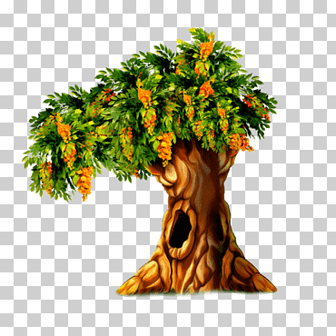 árbol hueco, árbol, rama, ручной, arecaceae png