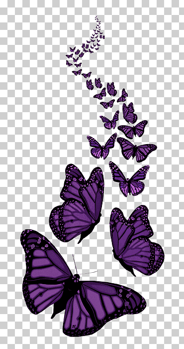 escritorio de mariposa, mariposa, púrpura, azul, mariposa patas de pincel png