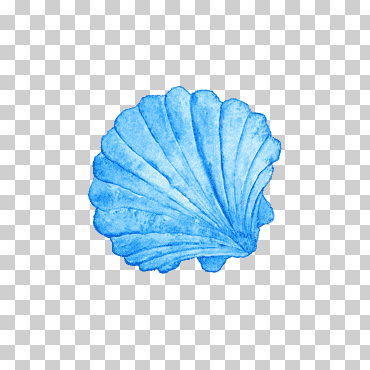Concha de almeja azul, concha, pintura de acuarela, concha de mar., azul, playa, animales png