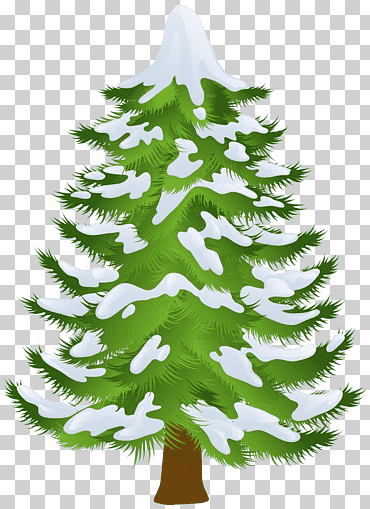 verde árbol de navidad, pino árbol invierno, invierno pino, hoja, decoración, rama png
