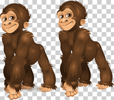 gorila chimpancé común orangután mono mono, dos orangutanes pequeños, mamífero, animales, carnivoran png