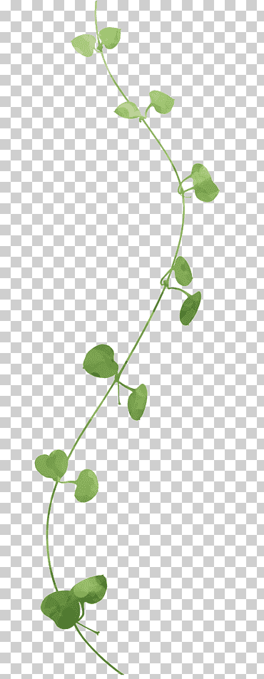 hoja de rama, hojas verdes, hojas de acuarela, ángulo, hierba png