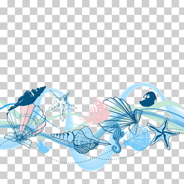 estrella de mar, caballito de mar, e ilustración de concha, icono de concha, caracol, azul, mamífero marino, fondo de pantalla de la computadora png