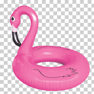 Alberca inflable de natación, flamenco inflable., anillo, magenta, istock png