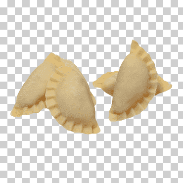 red de platos de concha, concha, animales, plato, red de platos png