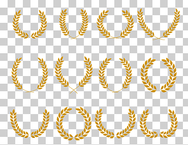 Oreja de trigo euclidiana, roseta de oro crujiente y plana, logotipos amarillos, botánica, moneda de oro, texto png