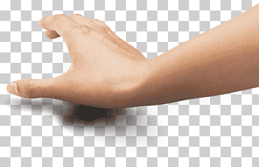 mano dedo pierna humana brazo, tenencia de la mano, mano, pie, tobillo png