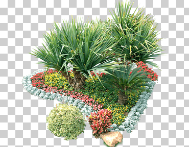 jardín de plantas de vivero, patio de butacas, plantas, hierba png