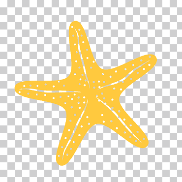 estrella de mar amarilla, mar de invertebrados de estrellas de mar, estrellas de mar, animales, apartamento, habitación png