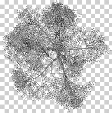 copo de nieve gris, arboles planta arbolada, arboles, Gráficos 3d por computadora, hoja, rama png
