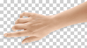cuerpo humano piel mano brazo digito, mano grupo, mano, brazo, mujer png