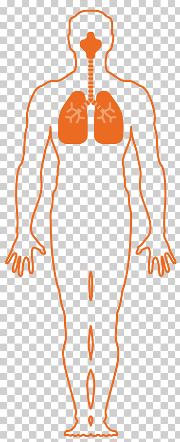 sistema respiratorio respiración respiratoria asfixia organismo, arma química, texto, naranja, cabeza png