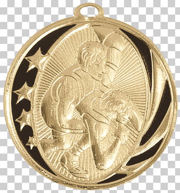 Medalla de oro: Trofeo. Medalla de bronce. Medalla., medalla, deporte, lucha profesional png