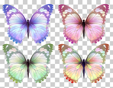Mariposa, mariposa, cuatro mariposas de colores surtidos, mariposa patas de pincel, mariposas, polillas y mariposas png