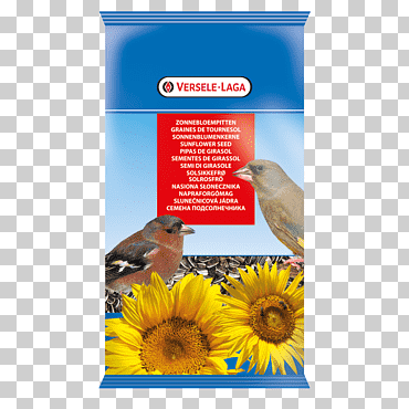 comida de ave semilla de girasol común, ave, comida, animales, mascota png