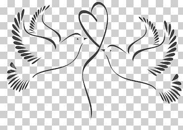 Ilustración de gráficos de boda palomas y palomas, boda, amor, blanco, vacaciones png