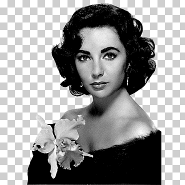 mujer con la ilustración superior de hombro abierto, elizabeth taylor, en el cine, varias actrices icónicas, mujer png