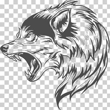 dibujo del lobo gris, diverso, mamífero, carnivoran png