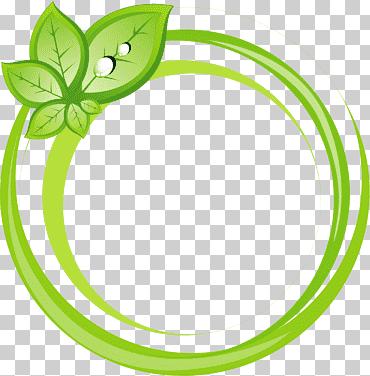 borde verde redondo con ilustración de hoja, icono de adobe illustrator, borde de hojas pintadas de verde, pintura de acuarela, frontera, cuadro png